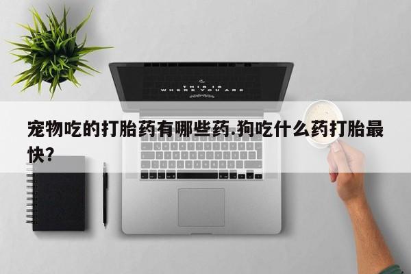 卖打胎药的微信堕胎药联系方式.宠物吃的打胎药有哪些药.狗吃什么药打胎最快？