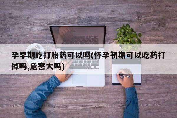 卖打胎药的微信堕胎药联系方式.孕早期吃打胎药可以吗(怀孕初期可以吃药打掉吗,危害大吗)